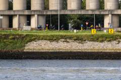 1_merlijnsphotography-Harbourtour2025-5192